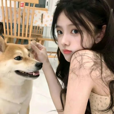容易受伤的玫瑰