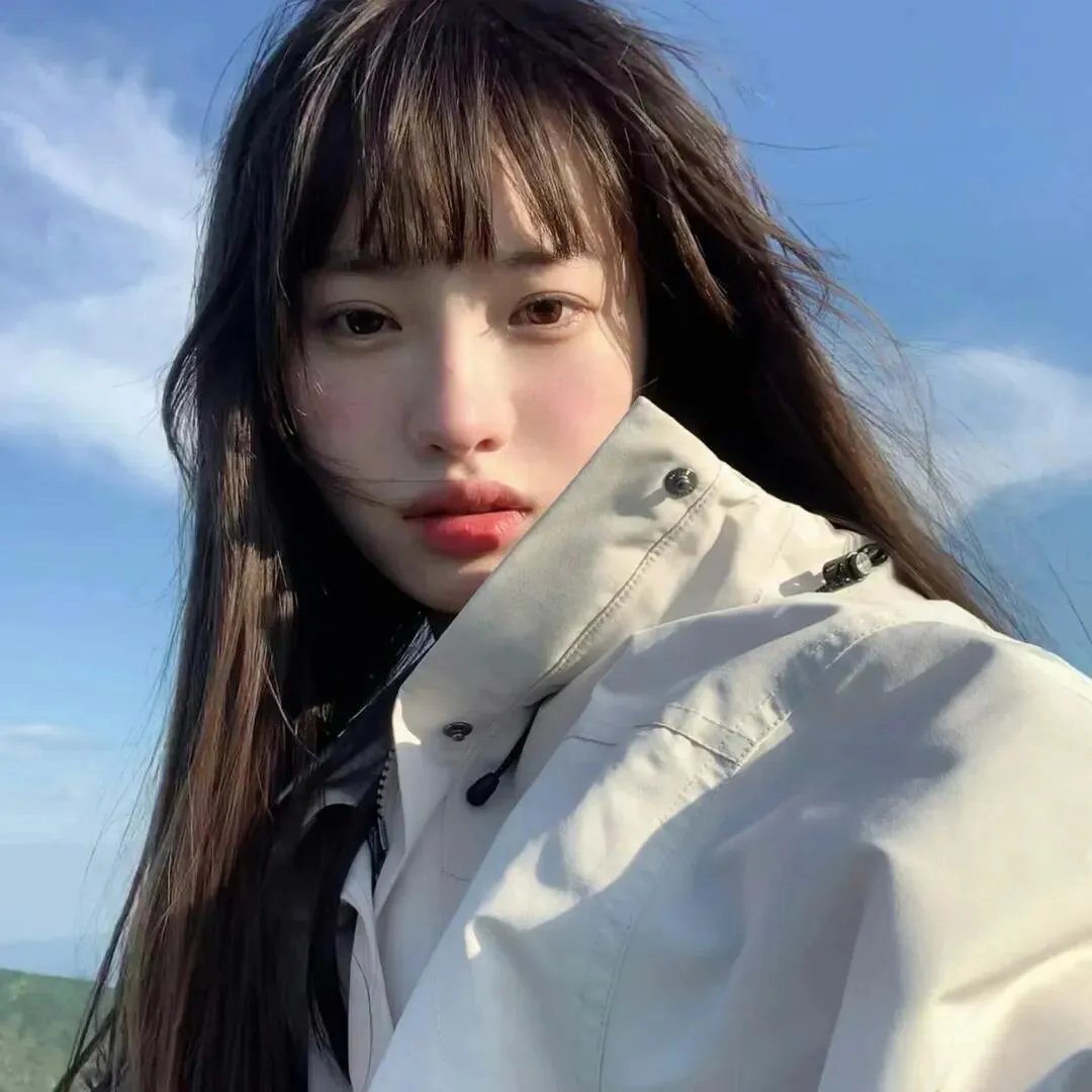挎斗摩托车里的狗